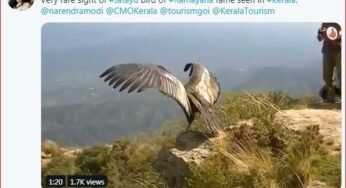 केरल में रामायण काल के पक्षी ‘जटायु’ के दिखाई देने का फैक्ट चेक
